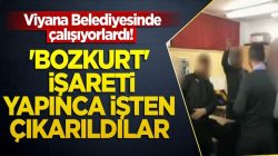 Viyana Belediyesinden Bozkurt işareti yaptıkları için işten atıldılar