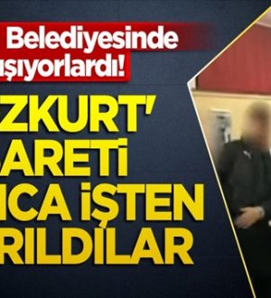 Viyana Belediyesinden Bozkurt işareti yaptıkları için işten atıldılar