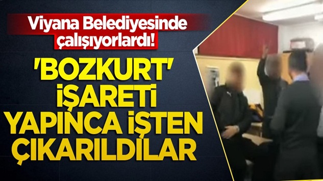  Viyana Belediyesinden Bozkurt işareti yaptıkları için işten atıldılar