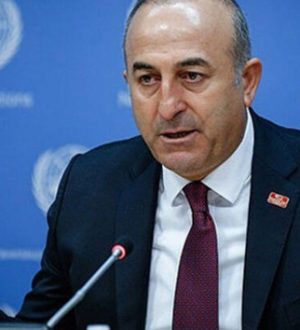 Bakan Mevlüt Çavuşoğlu: Alçaklara misliyle karşılık verdik