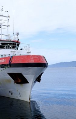 Bursa, Gemlik Körfezi’nin röntgeni çekiliyor