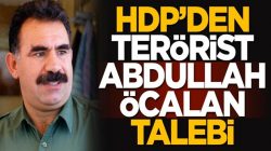 HDP’den Bebek Katili Abdullah Öcalan talebi geldi