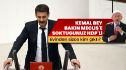 PKK’lı terörist HDP Van Milletvekili Murat Sarısaç’ın evinde yakalandı