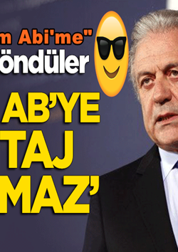 AB, Türkiye’nin Suriye’li mültecilere Kapıları açmasından sonra çılgına döndü