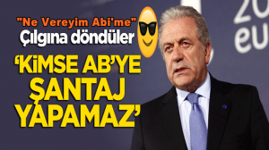 AB, Türkiye’nin Suriye’li mültecilere Kapıları açmasından sonra çılgına döndü