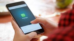 Bakan Bekir Pakdemirli, Gıda güvenliği için WhatsApp hattı devreye girdi