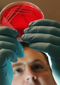 Koronavirüs Aşısında testler başarılı oldu! o tarihte piyasada olacak