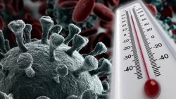 Koronavirüsün en çok yaşadığı sıcaklık derecesi belli oldu