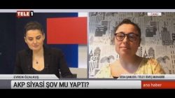 Tele-1 Televizyonu İsveç muhabiri Seda Şanlıer, THKP-C yöneticisi çıktı