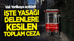 Ali Yerlikaya, İstanbul’da yasağa uymayanlara kesilen cezaları açıkladı