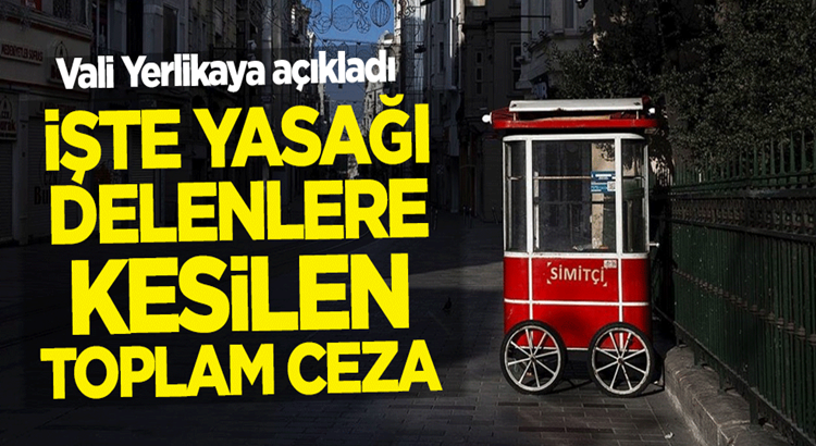  Ali Yerlikaya, İstanbul’da yasağa uymayanlara kesilen cezaları açıkladı