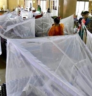 Malezya’da koronavirüsten sonra ‘Dang Humması’ salgını başladı