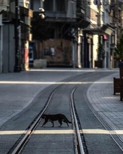 Sokağa çıkma yasağı Bayramda 9 gün  olacakmı?