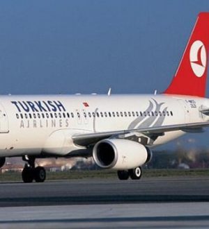 Türk Hava Yolları, Koronavirüs gerekçesiyle 14 iç hat uçuşunu durdu