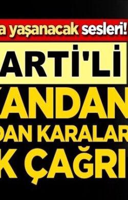Adana’da Koronavirüs bitmeden sivrisinek faciası kapıya dayandı