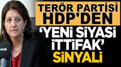 HDP’li Pervin Buldan Yeni siyasi ittifaklara destek verebiliriz dedi