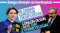 HDP’li Sırrı Süreyya Önder’den İyi Parti’ye yanıt geçikmedi