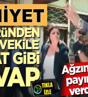 HPD Milletvekili Dilan Daşdemir’e Emniyet Müdüründen tokat gibi cevap