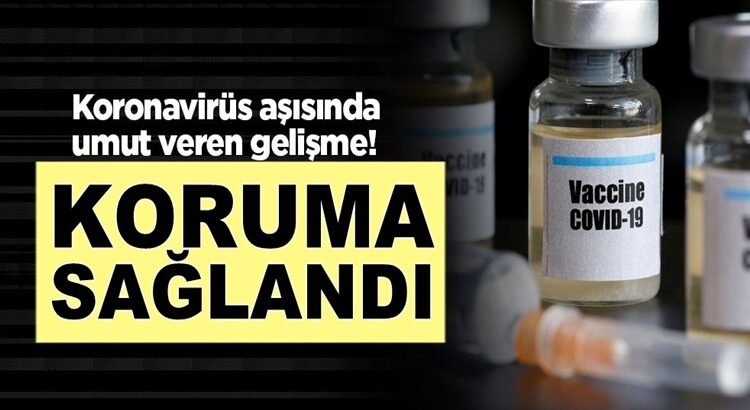  Koronavirüs aşısında umut veren gelişme! Koruma sağladı