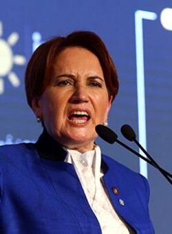 Meral Akşener’den ortağını kızdıracak erken seçim açıklaması!