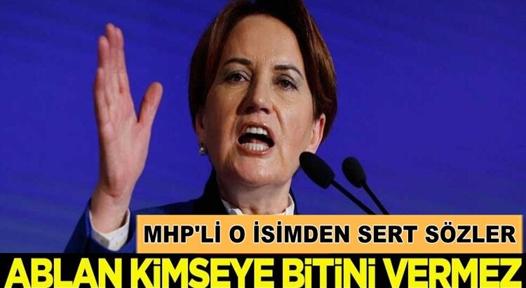  MHP’li Cemal Enginyurt’tan Sert sözler: Ablan kimseye bitini vermez