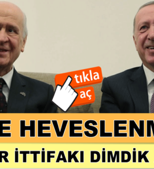 MHP’li Semih Yalçın, Kimse heveslenmesin Cumhur İttifakı dimdik ayakta!