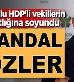 Ahmet Davutoğlu’ndan skandal sözler HDP’li vekilleri savundu