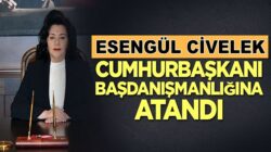 Esengül Civelek Cumhurbaşkanı Başdanışmanlığına atandı