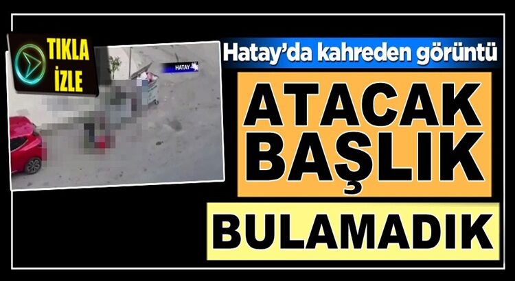  Hatay, İskenderun’da kahreden görüntü! Atacak başlık bulamadık