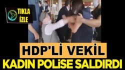 HDP İstanbul Milletvekili Musa Piroğlu, kadın polise saldırdı
