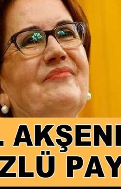 İyi Parti genel Başkanı Meral Akşener’den iki yüzlülük!