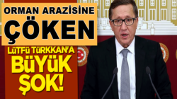 Lütfü Türkkan’ın orman arazisini işgal ettiği fabrikası mühürlendi