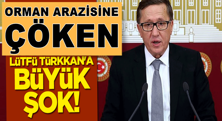  Lütfü Türkkan’ın orman arazisini işgal ettiği fabrikası mühürlendi