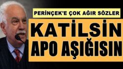 MHP’li Cemal Enginyurt’tan Doğu Perinçek’e: Katilsin, Apo aşığısın