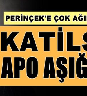 MHP’li Cemal Enginyurt’tan Doğu Perinçek’e: Katilsin, Apo aşığısın