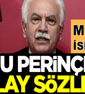 MHP’li Cemal Enginyurt’tan Doğu Perinçek’e olay sözler