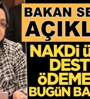 Zehra Zümrüt Selçuk, Nakdi Ücret Desteği ödemeleri bugün başlıyor