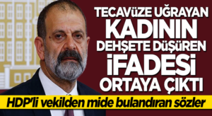 HDP’li Tuma Çelik’in tecavüz ettiği kadının ifadesi ortaya çıktı