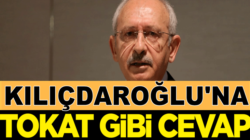 Kemal Kılıçdaroğlu’na Bakan Abdülhamit Gül’den tokat gibi cevap