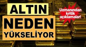 Altın, Dolar Avro neden yükseliyor uzmanı nedenini açıkladı