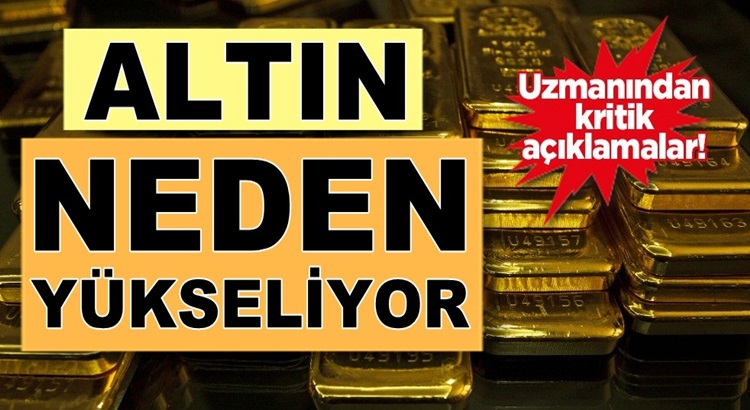  Altın, Dolar Avro neden yükseliyor uzmanı nedenini açıkladı