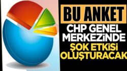 CHP Seçmenin yüzde 30 oranı Muharrem İnce’ye oy verecek