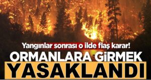 Eskişehir’de yangınlar sonrası Ormanlara girmek yasaklandı