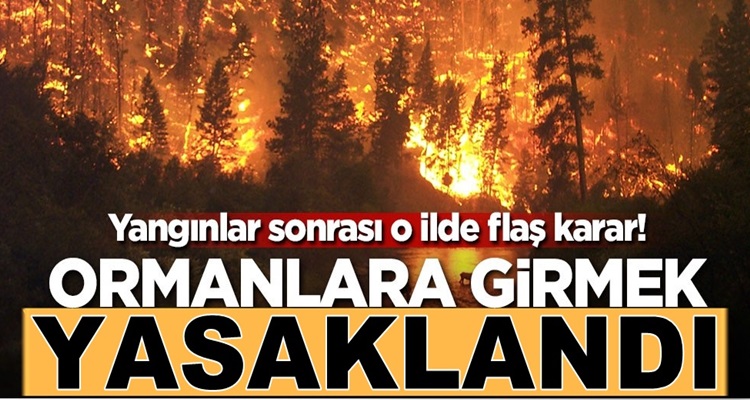  Eskişehir’de yangınlar sonrası Ormanlara girmek yasaklandı