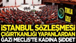 İstanbul Sözleşmesi çığırtkanları HDP ve CHP’den kadına şiddet