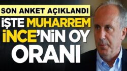 Yani Parti kuracağım diyen Muharrem İnce son ankette ne kadar oy aldı