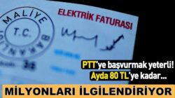 Elektrik faturalarına 80 TL destek! Nasıl Başvuracaksınız işte şartları