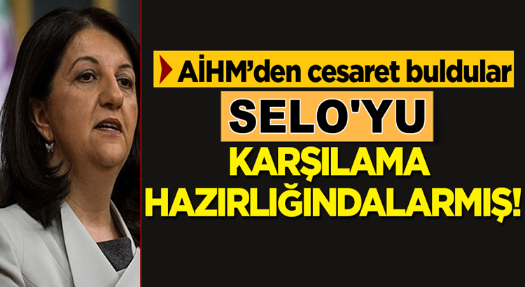  AİHM’in Selahattin Demirtaş kararı Pervin  Buldan’a cesaret verdi