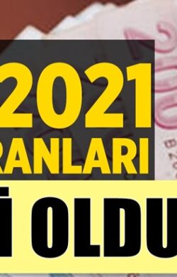 Asgari ücretin işverene Agi ile toplam maliyeti ne kadar