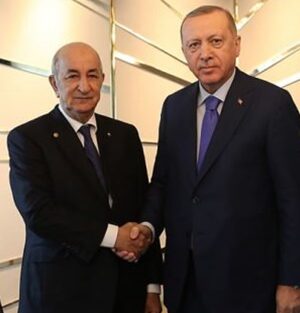 Cumhurbaşkanı Erdoğan Cezayir Cumhurbaşkanı Tebbun ile görüştü